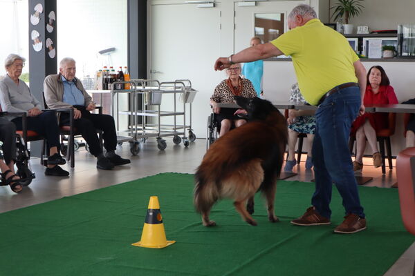 zweveseelse hondeschool op bezoek '24