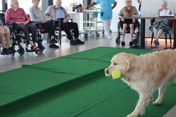 zweveseelse hondeschool op bezoek '24