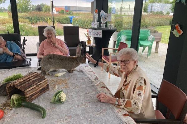 bezoek stal Deyaert '24