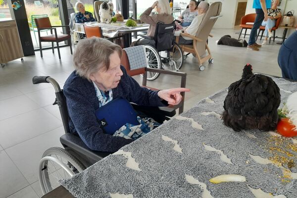 bezoek stal Deyaert '24