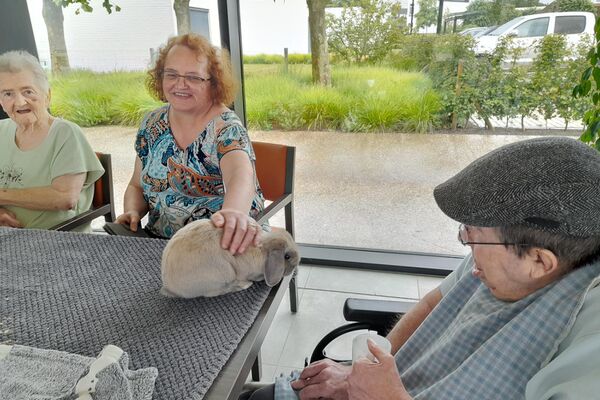 bezoek stal Deyaert '24