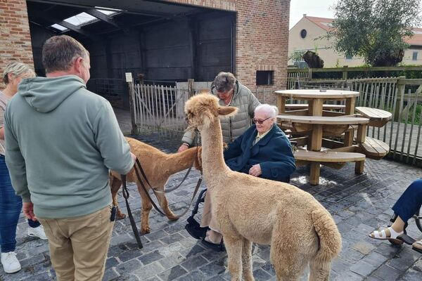  alpacaboerderij '24