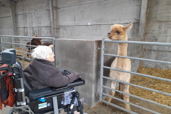  alpacaboerderij '24