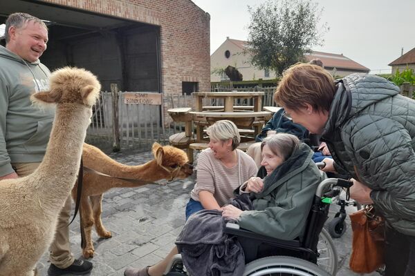  alpacaboerderij '24