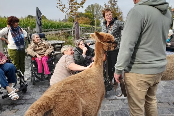  alpacaboerderij '24