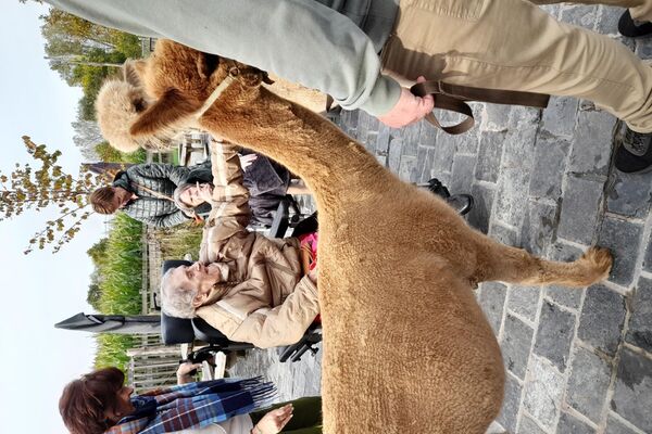  alpacaboerderij '24