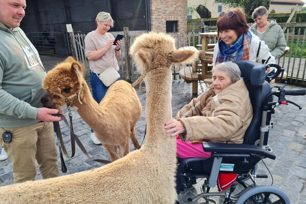  alpacaboerderij '24