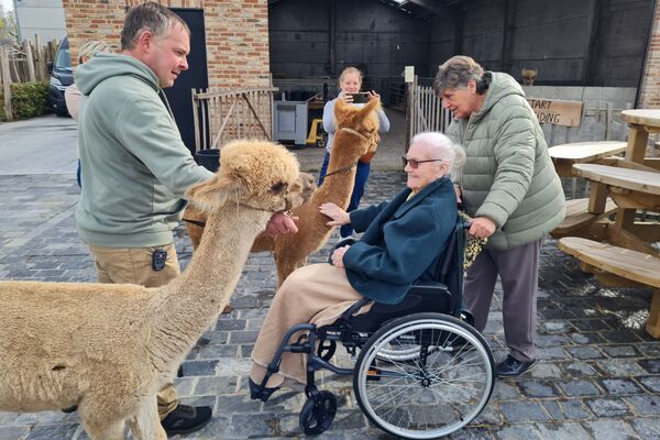  alpacaboerderij '24