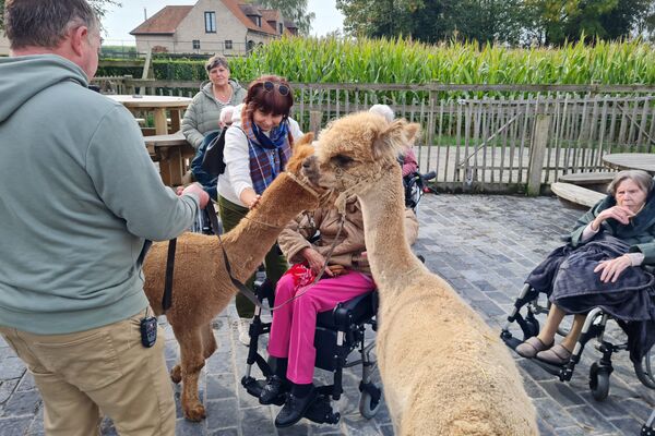  alpacaboerderij '24