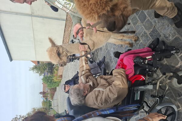  alpacaboerderij '24