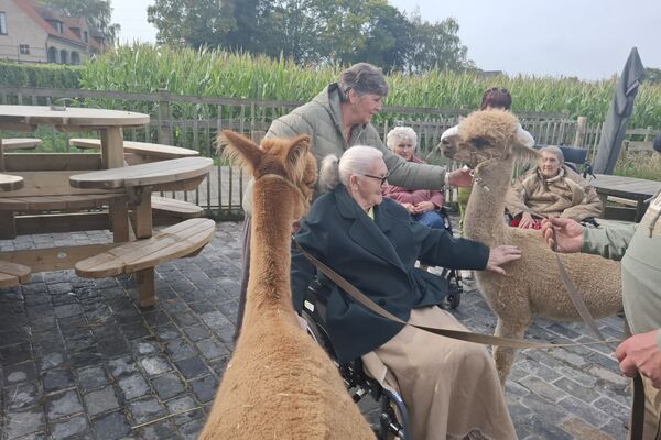  alpacaboerderij '24